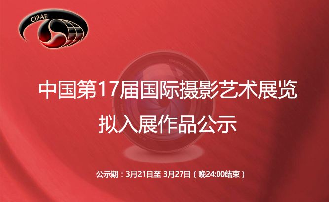 常见的摄影展会行业网站建设一定要避免的误区(图1)