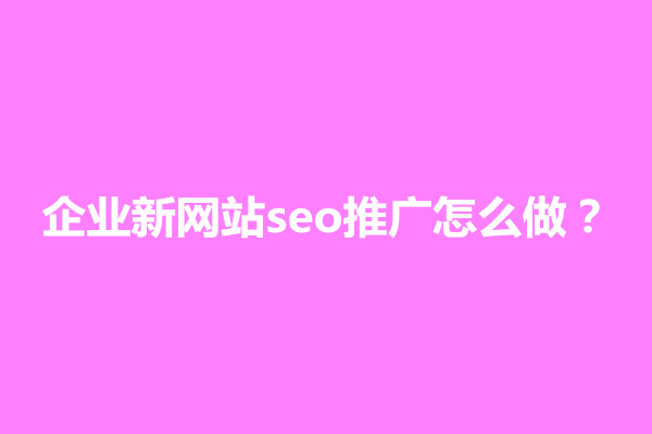 郑州企业新网站seo推广怎么做？有什么方案