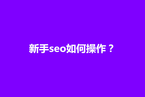 郑州新手seo如何操作？初学seo步骤和环节是什么