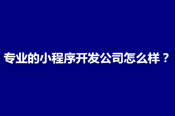 郑州专业的小程序开发公司怎么样？哪家好(图1)