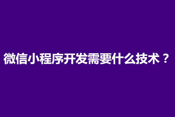 郑州微信小程序开发需要什么技术？需要哪些基础(图1)