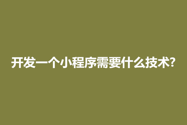 郑州开发一个小程序需要什么技术?大概需要多少钱(图1)