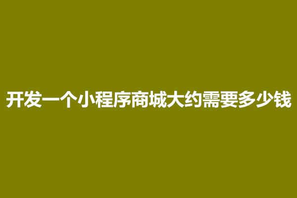 郑州开发一个小程序商城大约需要多少钱(图1)