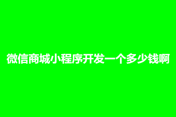 郑州微信商城小程序开发一个多少钱啊