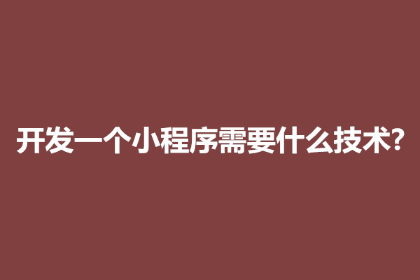 郑州开发一个小程序需要什么技术?到底需要多少钱(图1)