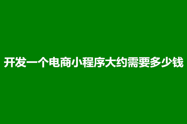 郑州开发一个电商小程序大约需要多少钱