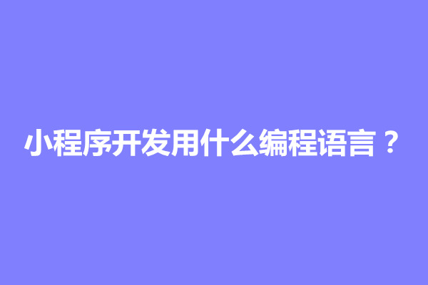 郑州小程序开发用什么编程语言？多少钱(图1)