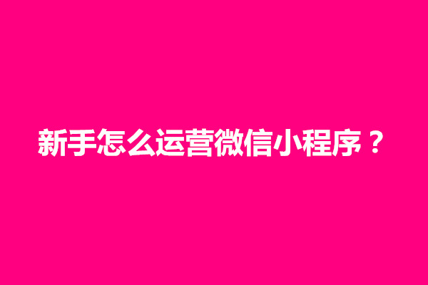 郑州新手怎么运营微信小程序？