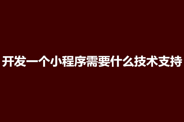 郑州开发一个小程序需要什么技术支持(图1)