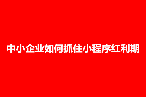 郑州中小企业如何抓住小程序红利期