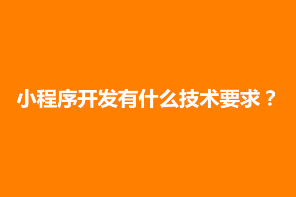 郑州小程序开发有什么技术要求？有什么注意事项(图1)