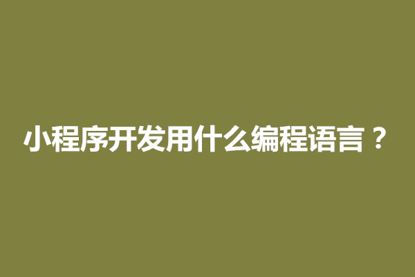 郑州微信小程序如何开发？小程序开发用什么编程语言