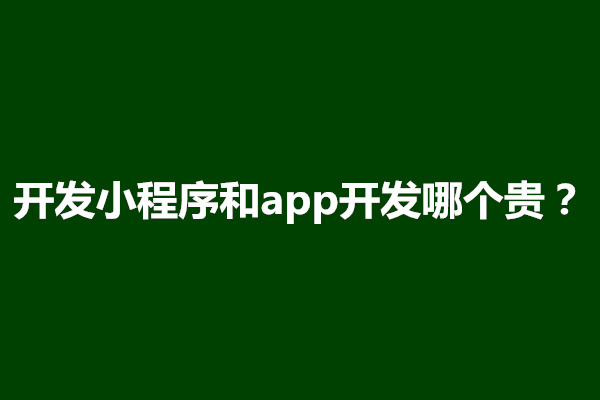 郑州开发小程序和app开发哪个贵？有什么优势(图1)