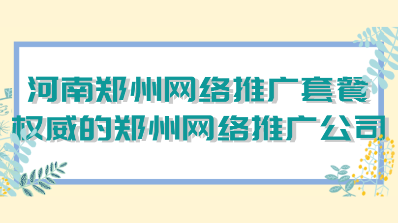 河南郑州网络推广套餐（权威的郑州网络推广公司）(图1)