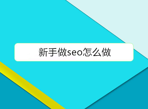 新手做seo怎么做？		(图1)