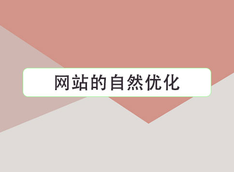 网站的自然优化		(图1)