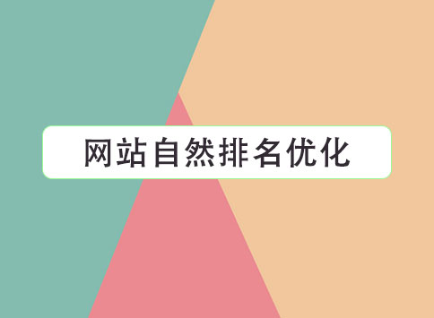 网站自然排名优化		(图1)