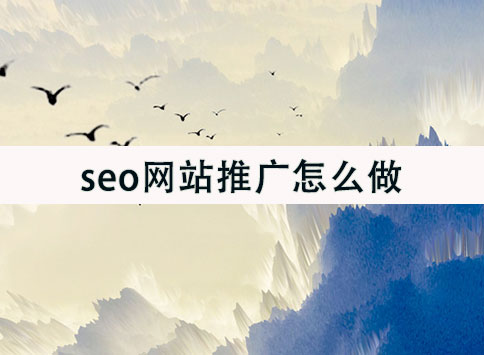 seo网站推广怎么做？		(图1)