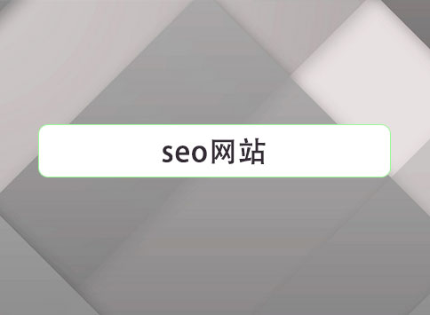 seo网站		(图1)