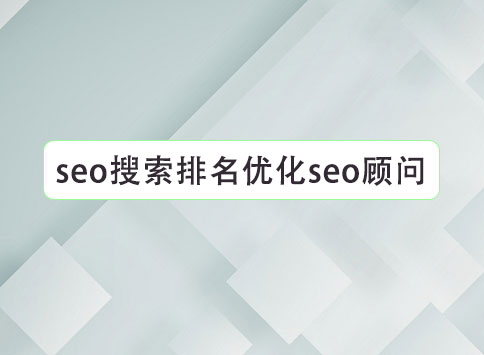 seo搜索排名优化seo顾问		(图1)