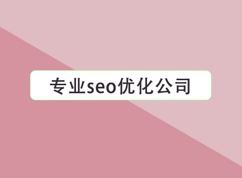 专业seo优化公司		(图1)