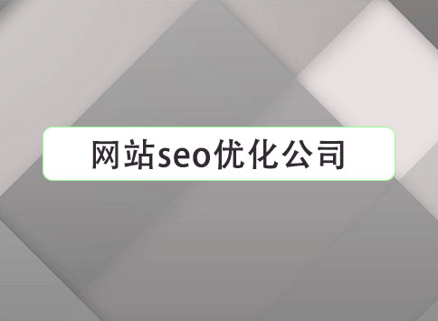 网站seo优化公司		(图1)