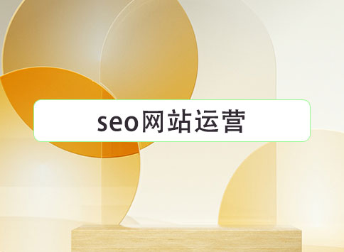 seo网站运营		(图1)