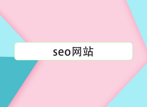 seo网站		(图1)