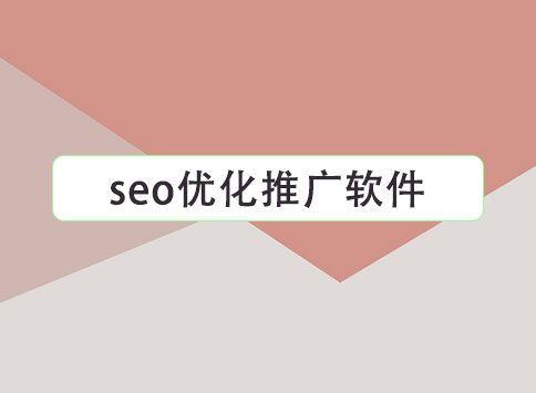 seo优化推广软件		(图1)