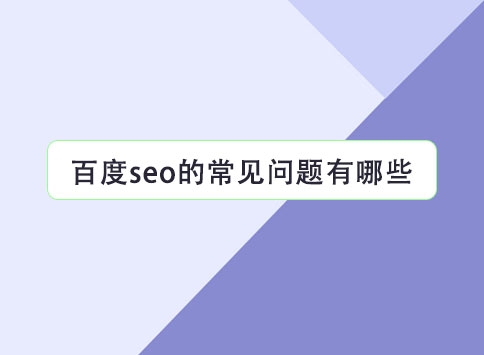 百度seo的常见问题有哪些？		(图1)