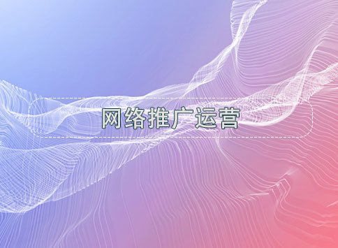 网络推广运营		(图1)